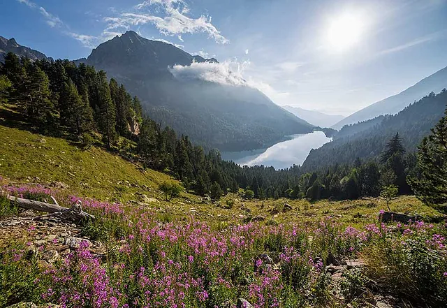 Apartamentos Baqueira-aigüestortes Parque Nacional de Aigüestortes y Lago de San Mauricio